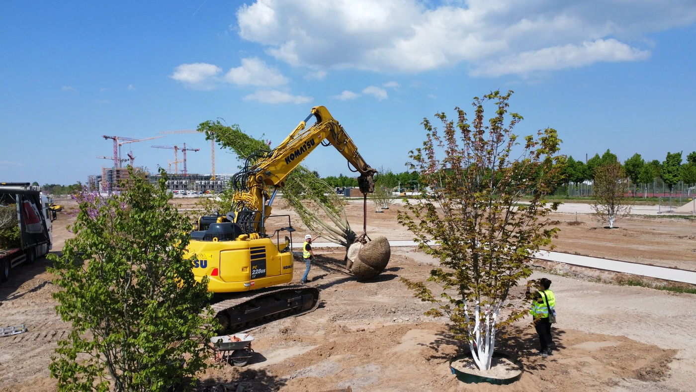 boettinger-garten-landschaftsbau-galabau-dossenheim-heidelberg-projekte-BUGA-Bundesgartenschau-mannheim-123758-RemoteMediaFile_6553895_0_2022_04_28_12_00_24_1_